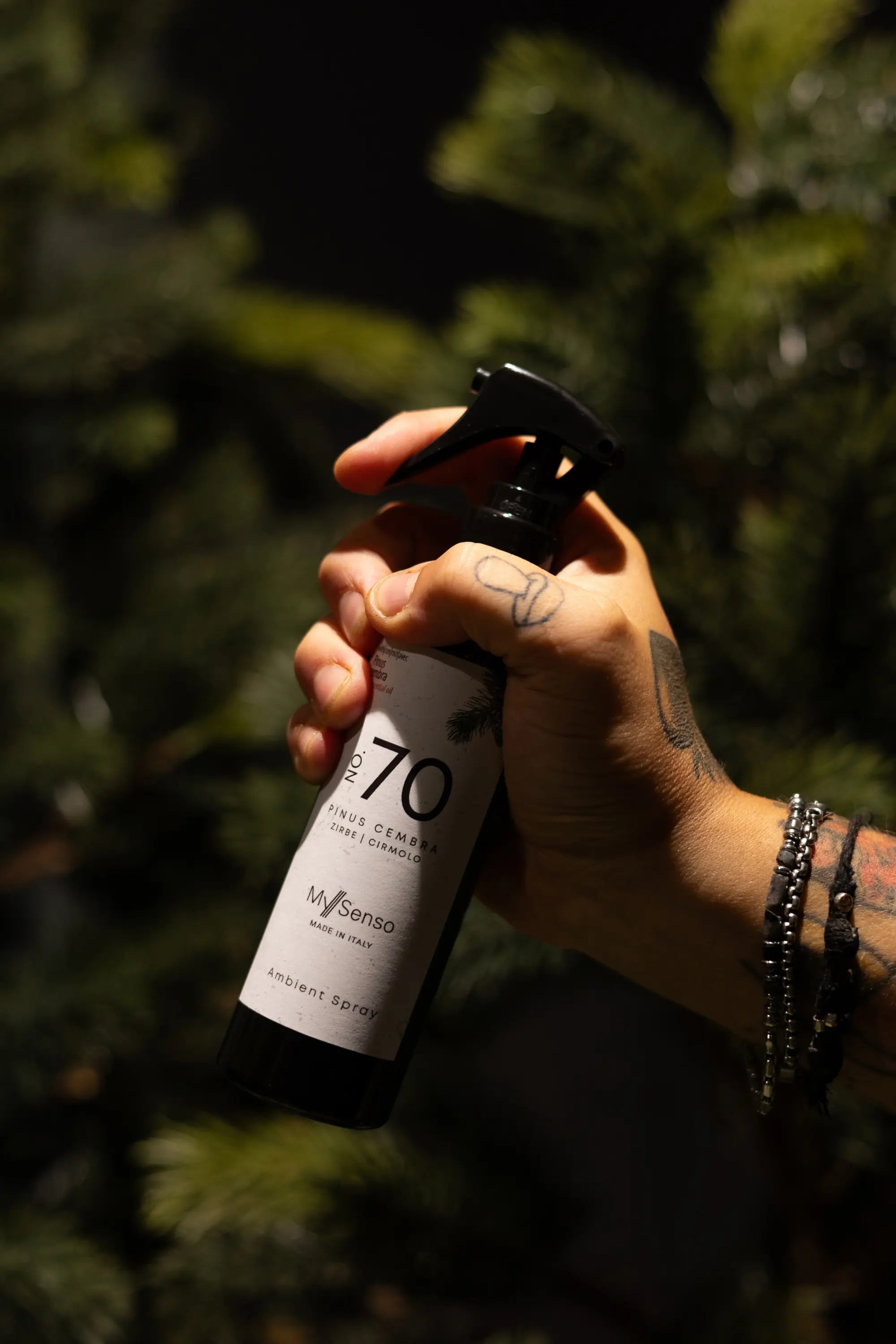 Ambient Spray N°70 Pinus Cembra | Cirmolo | Pino Cembro