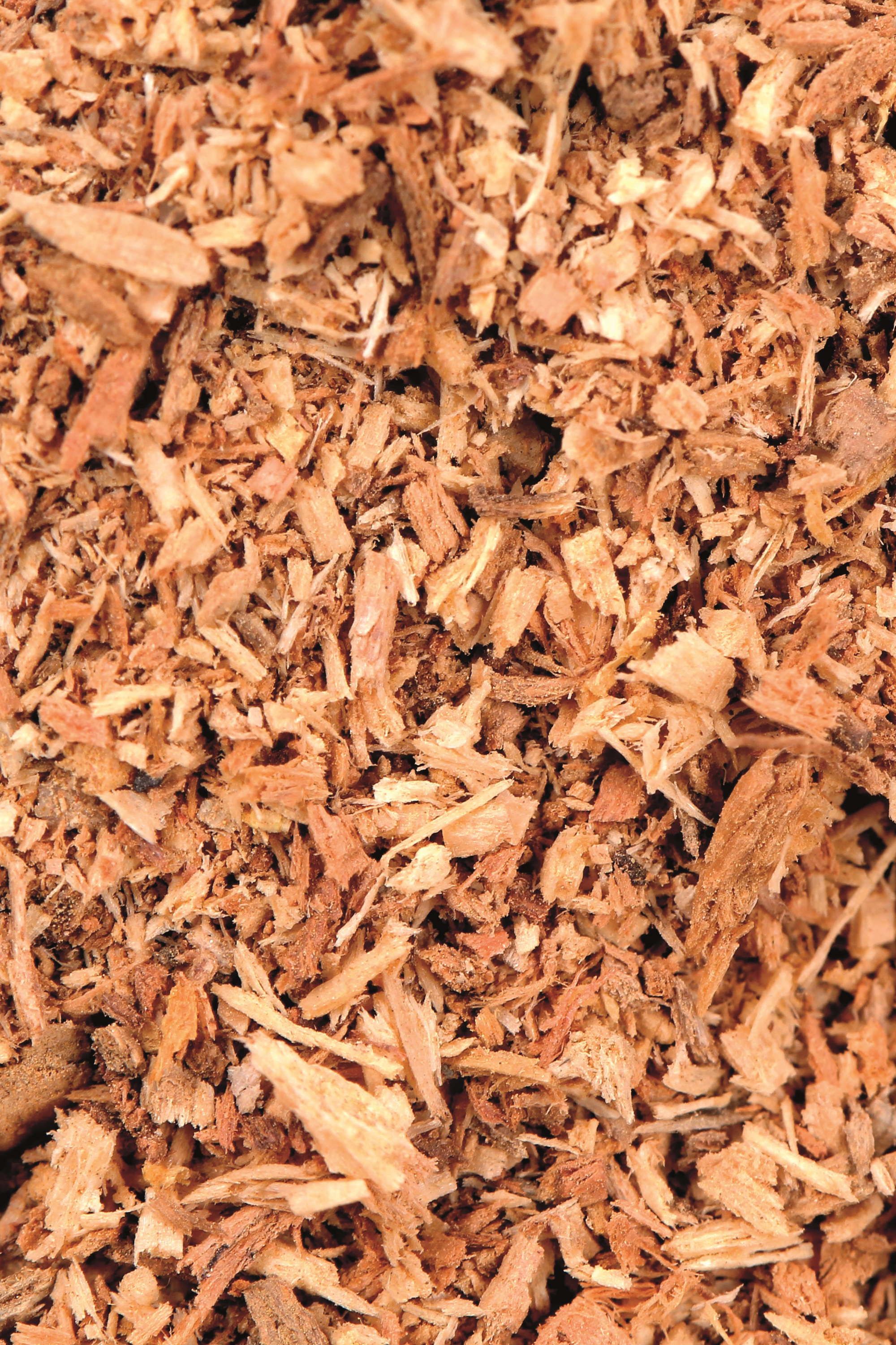 Refill für Diffusor 240ml N°33 Sandalwood