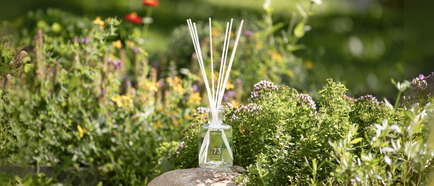 Vitality and Focus: The Power of Herbal and Citrus Fragrances