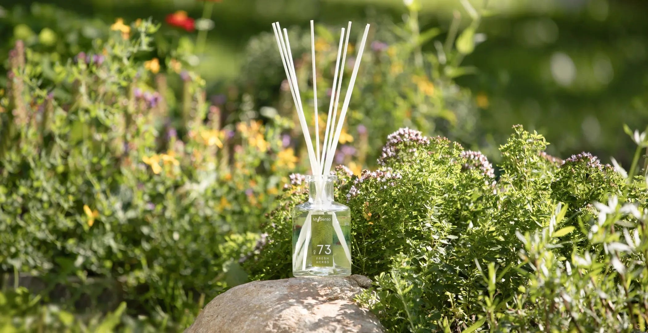 Why June Is the Perfect Month for Green Notes Fragrances