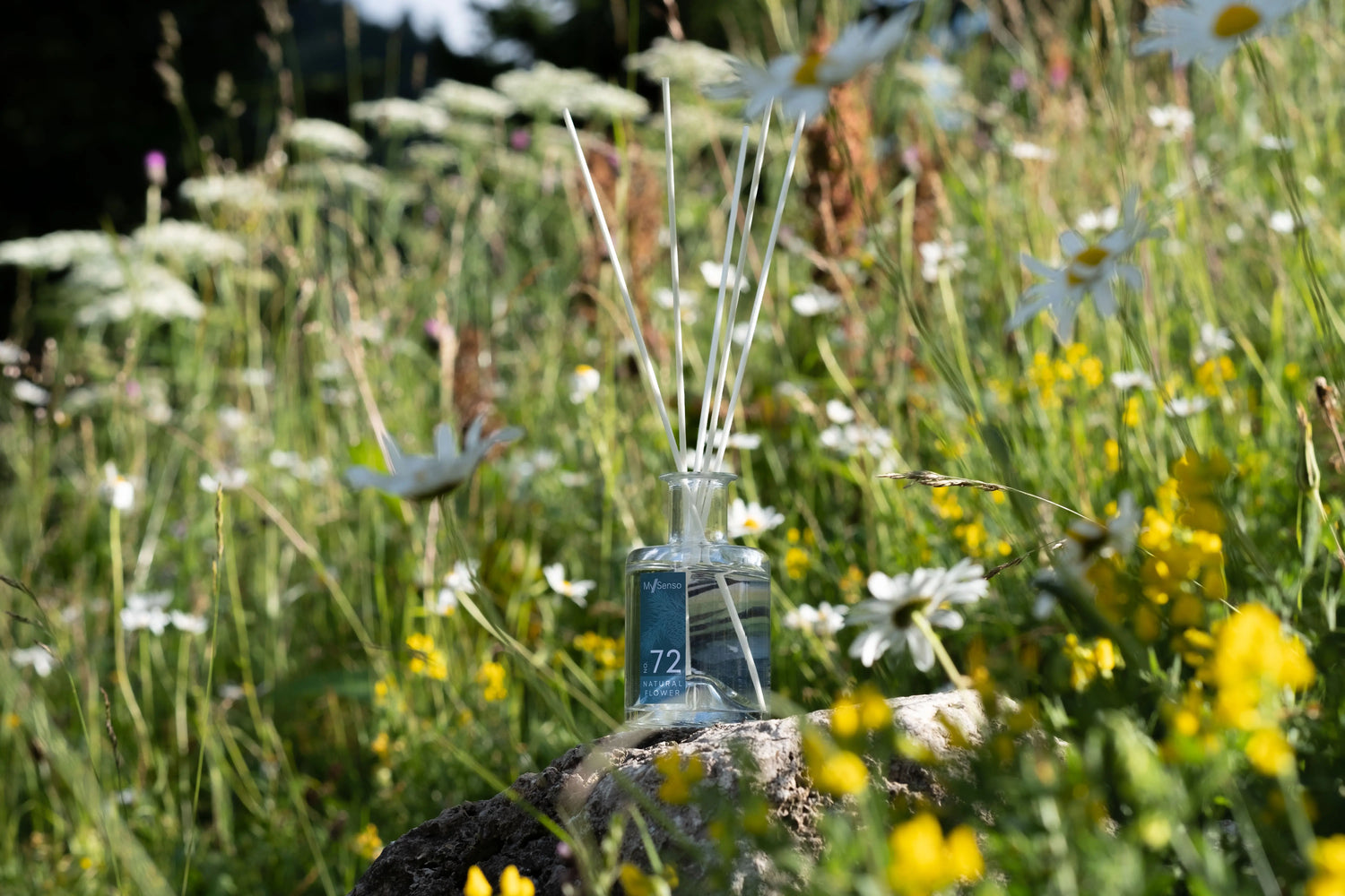 Earth Day & Home Fragrances: Quality, Ingredients and Conscious Choices