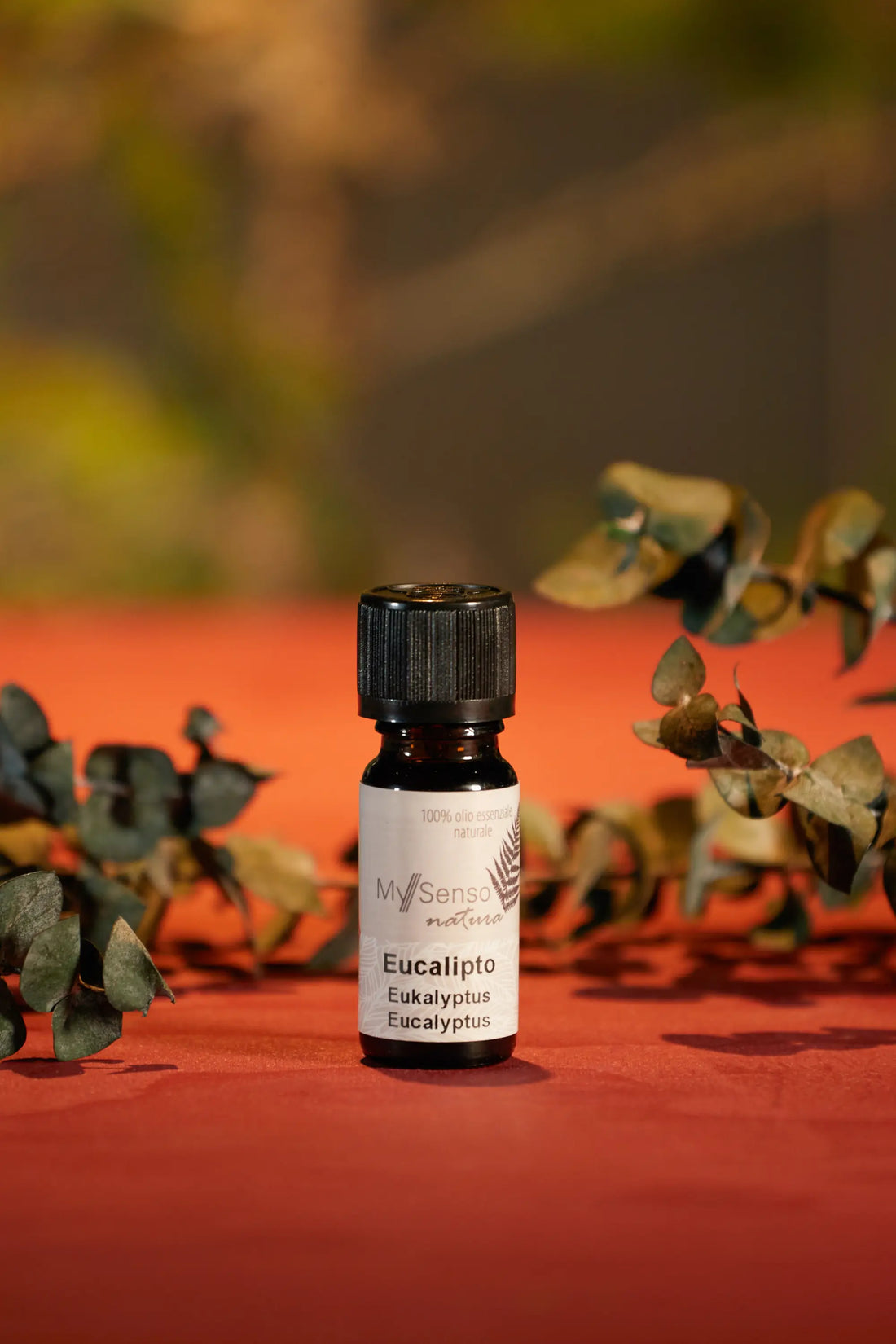 Olio essenziale eucalipto 10ml