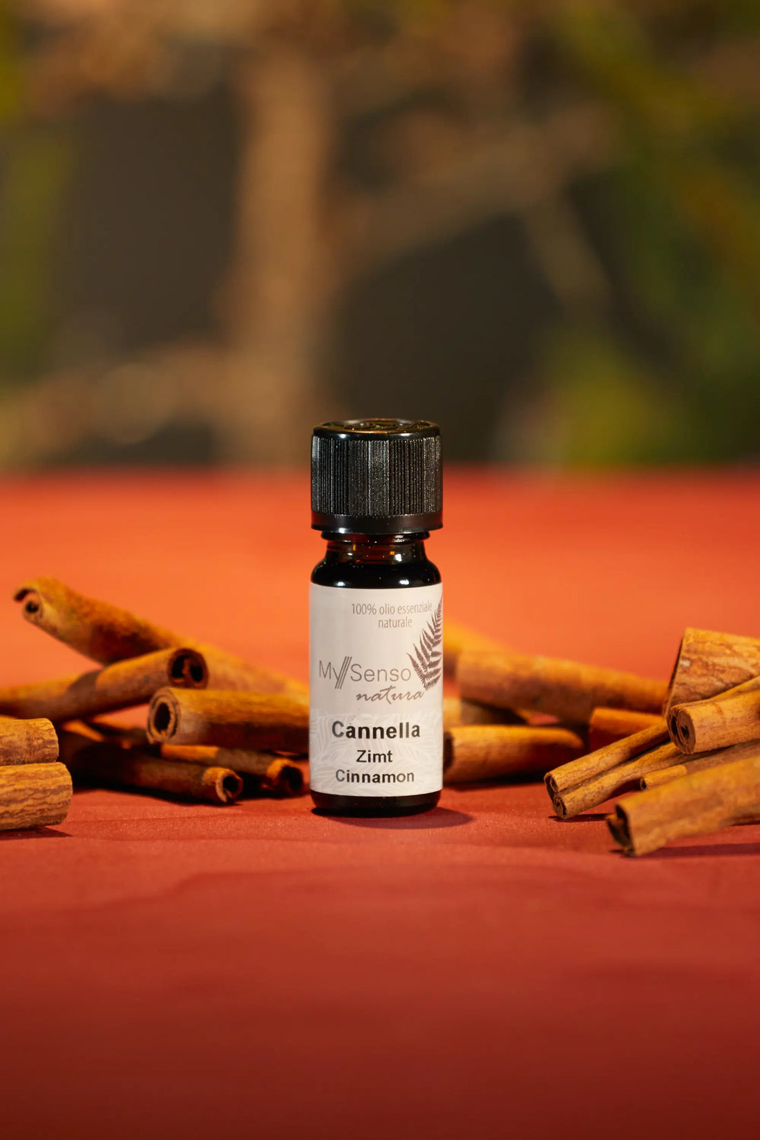 Essential oil cinnamon 10ml