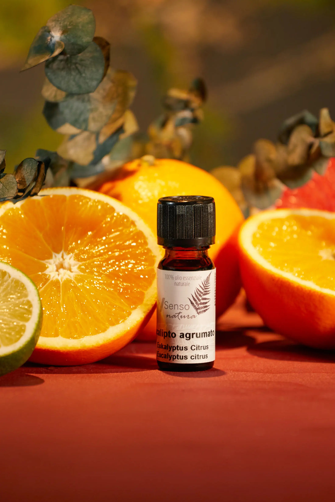 Essential oil eucalyptus citrus 10ml