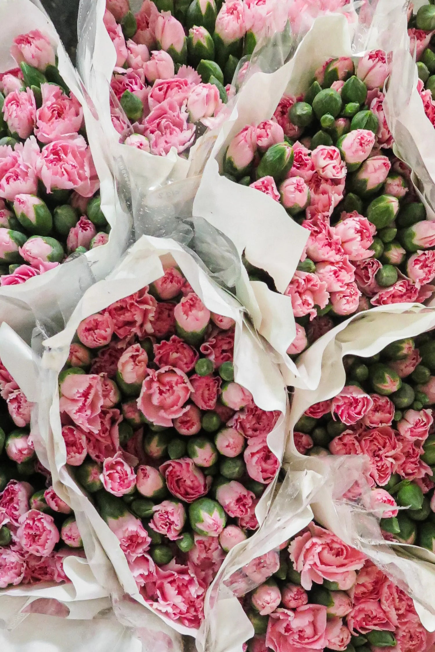 Refill per diffusore I Grandi Classici N°85 Rose