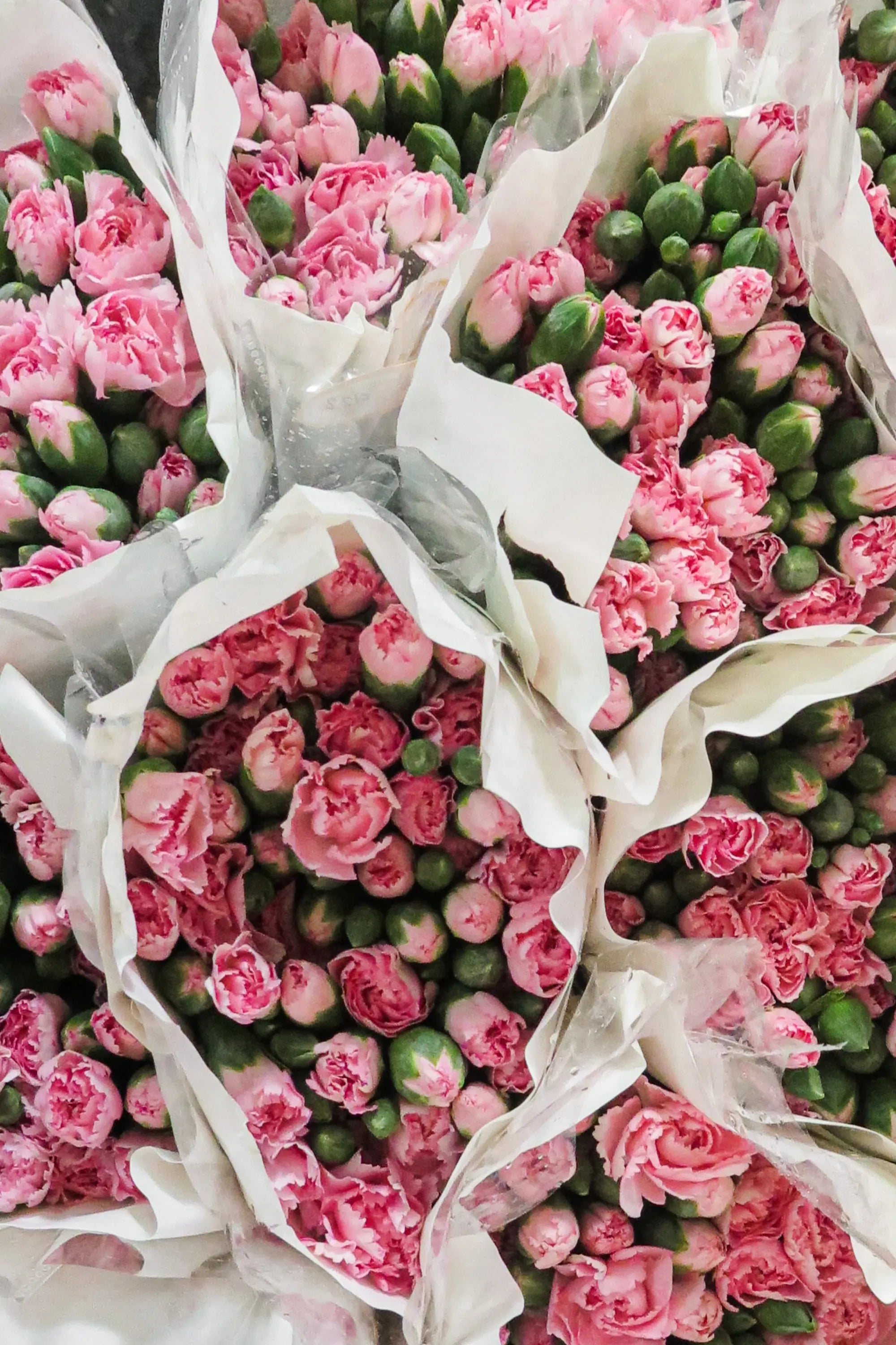 Refill per diffusore I Grandi Classici N°85 Rose