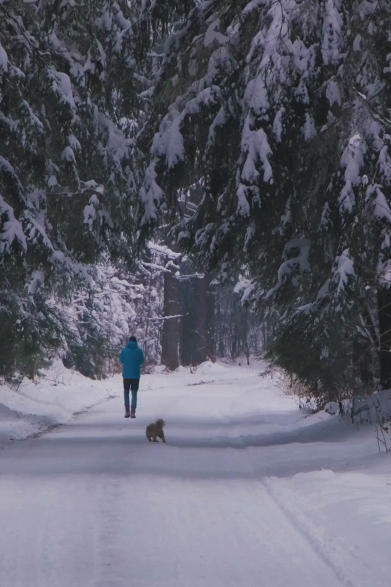 Set Essenza Forestale